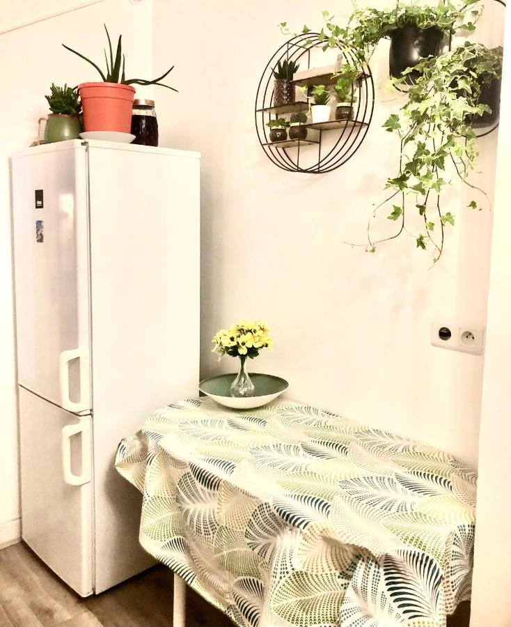 Room With Balcon 20 Minutes From Eiffel Tower Choisy-le-Roi Luaran gambar